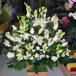 Arreglo blanca pureza