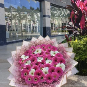 Maxi ramo de 50 gerberas